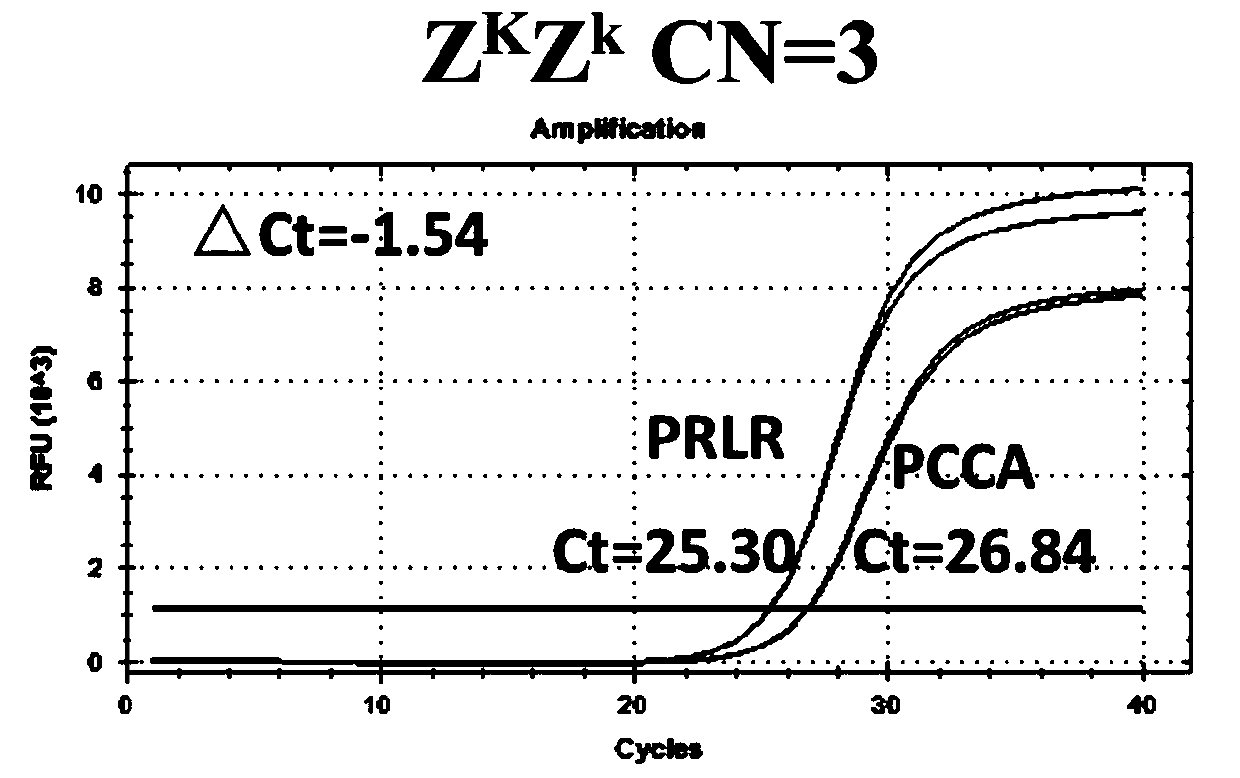 Application and method of a kind of prlr gene