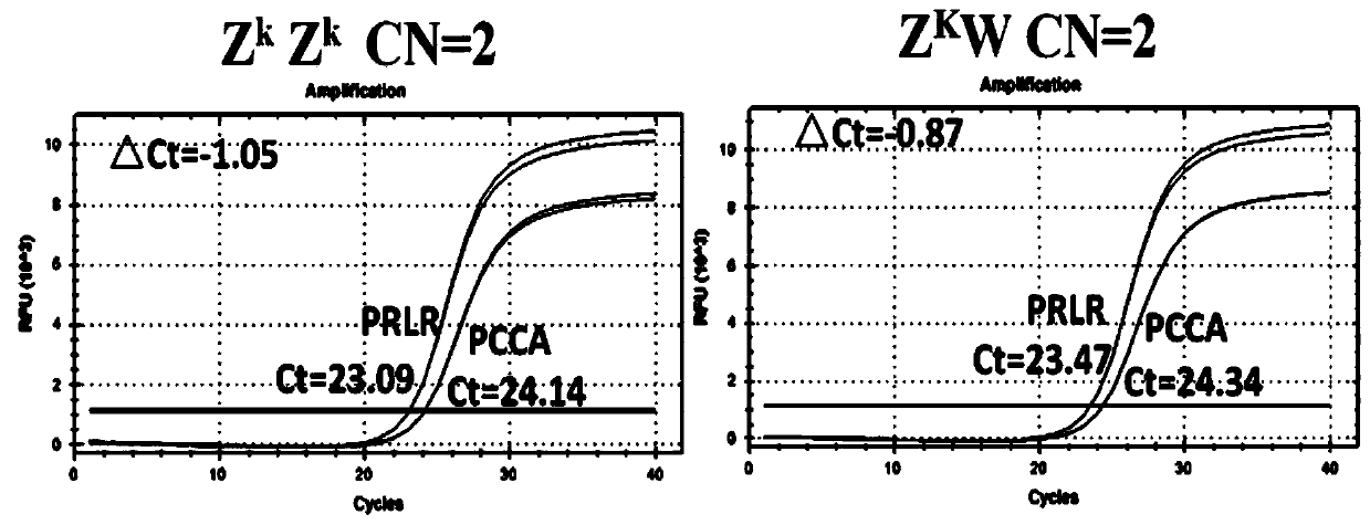 Application and method of a kind of prlr gene