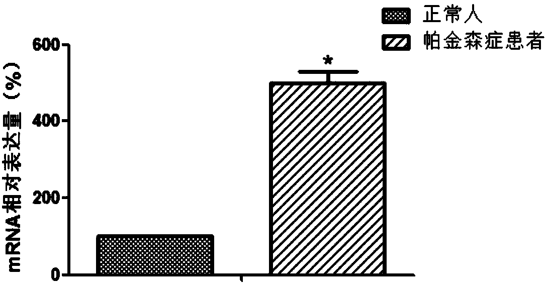 Application of ARHGAP26 gene to preparation of Parkinson diagnostic tool