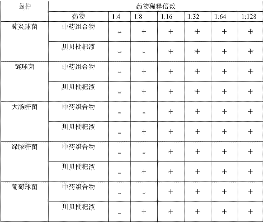 Traditional Chinese medicine composition for treating respiratory diseases and preparation method of traditional Chinese medicine composition for treating respiratory diseases