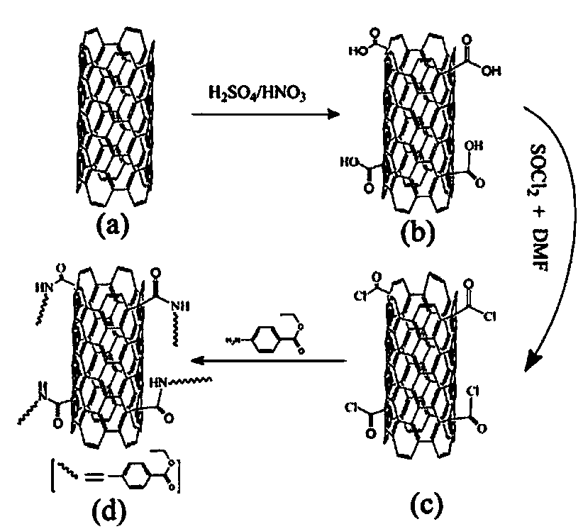 Solid phase extraction column with functionalized multi-walled carbon nanotube substrate, and preparation method thereof