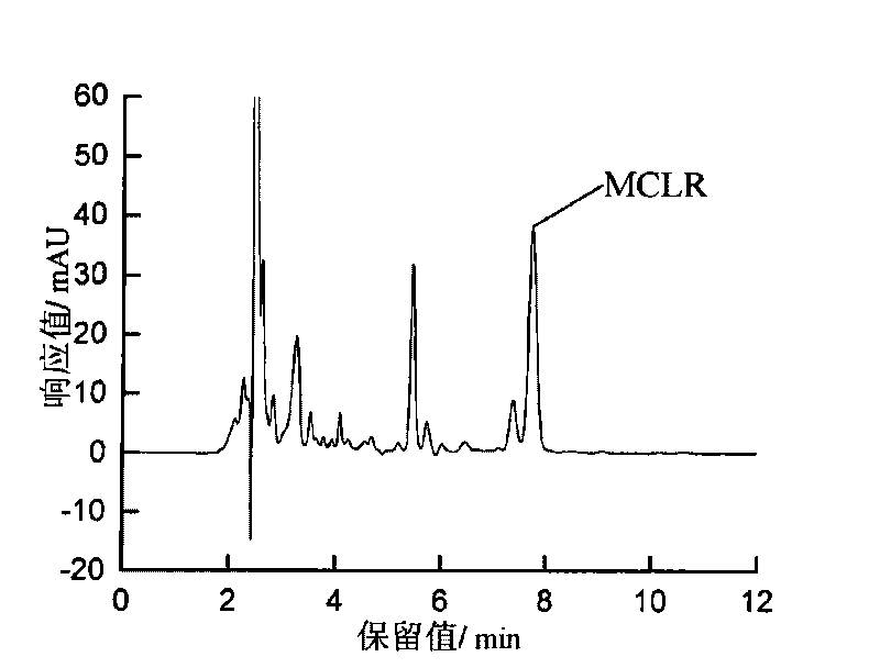 Method for purifying microcystins MCLR through extraction and normal-pressure column chromatography