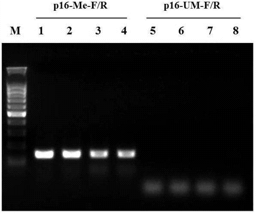 Method for purifying deoxyribonucleic acid (DNA) in DNA bisulfate conversion process