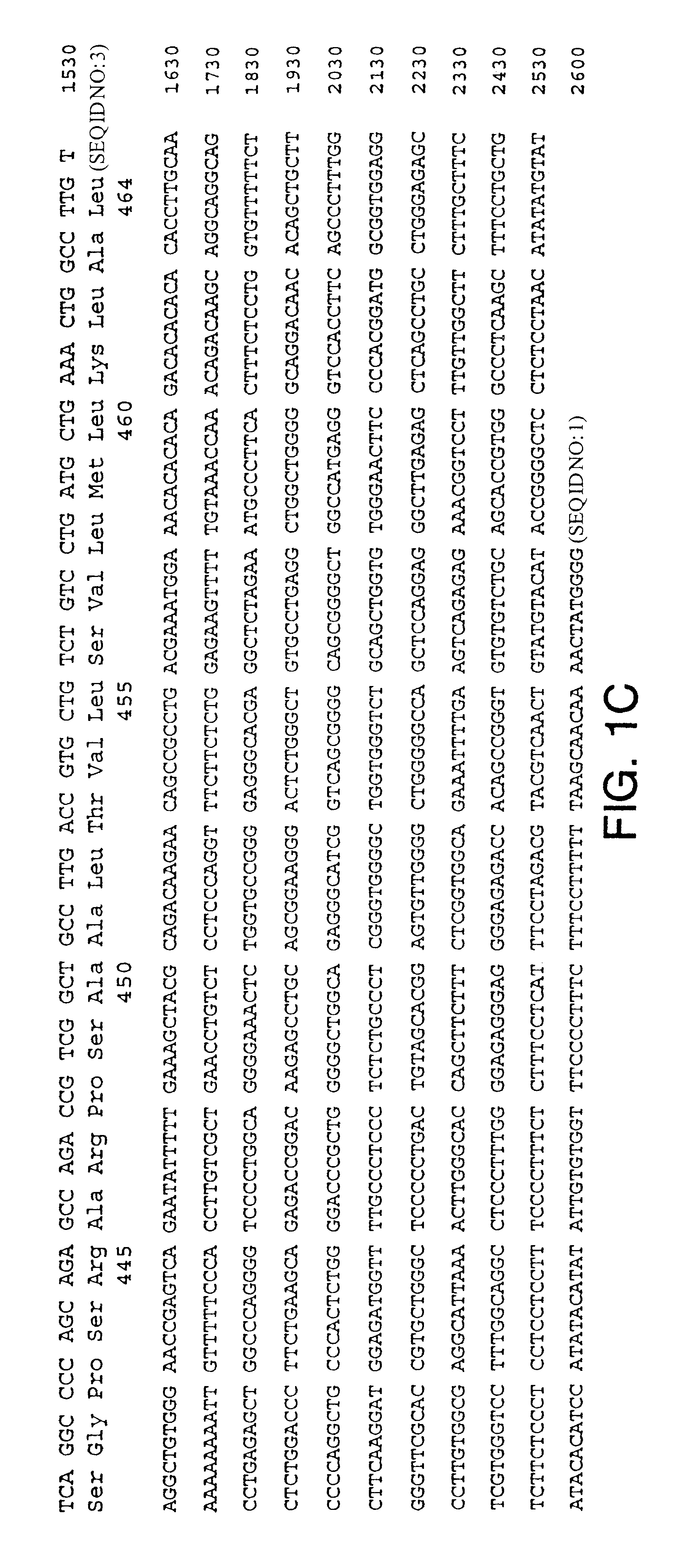 Neurturin receptor