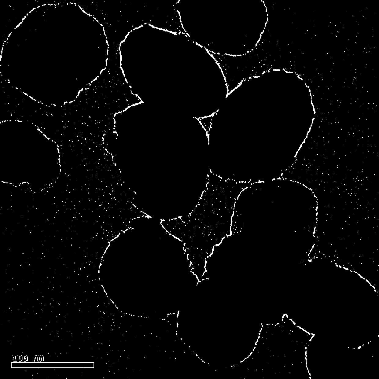 Dual-mode fluorescent/magnetic resonance imaging contrast agent based on mesoporous silica and preparation thereof