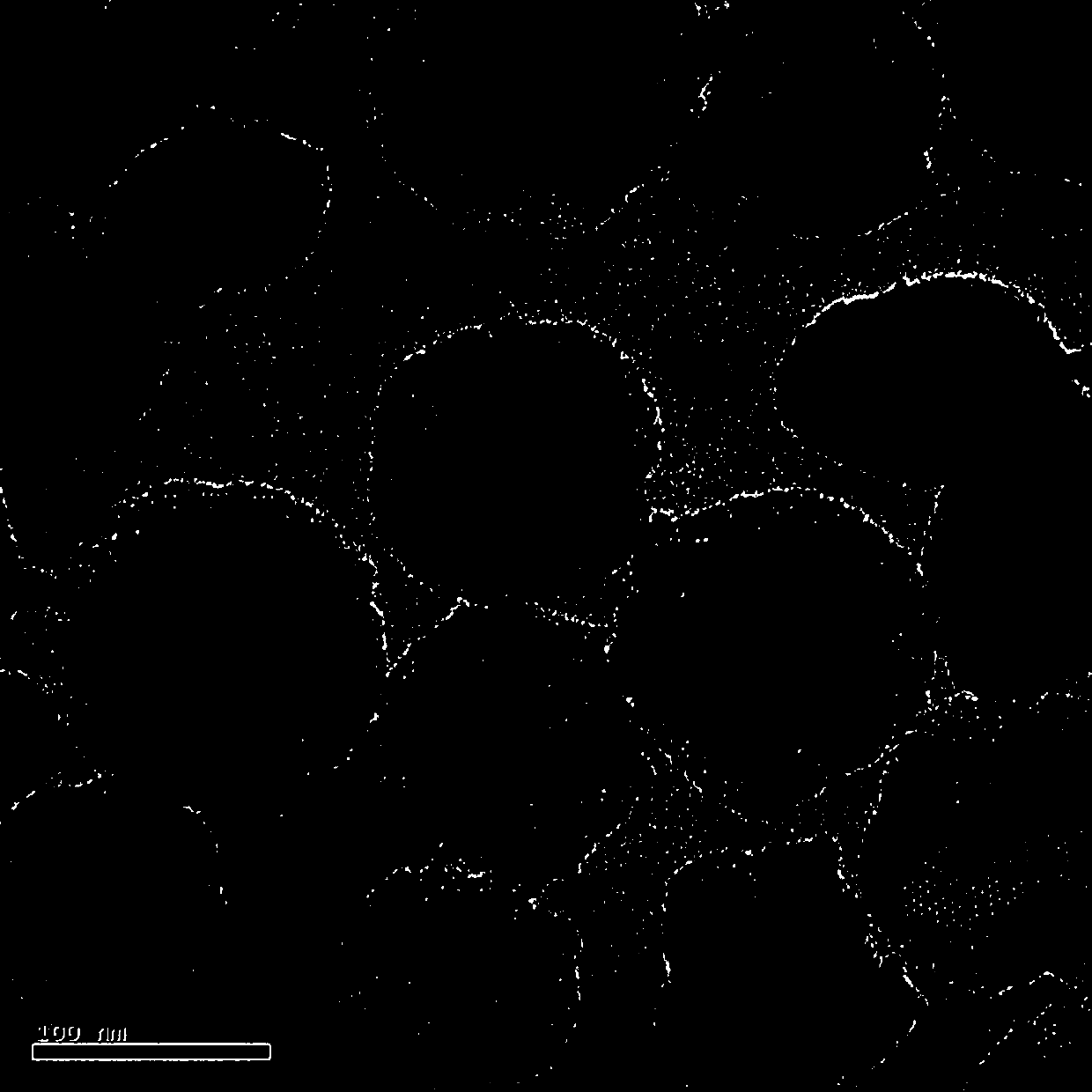 Dual-mode fluorescent/magnetic resonance imaging contrast agent based on mesoporous silica and preparation thereof