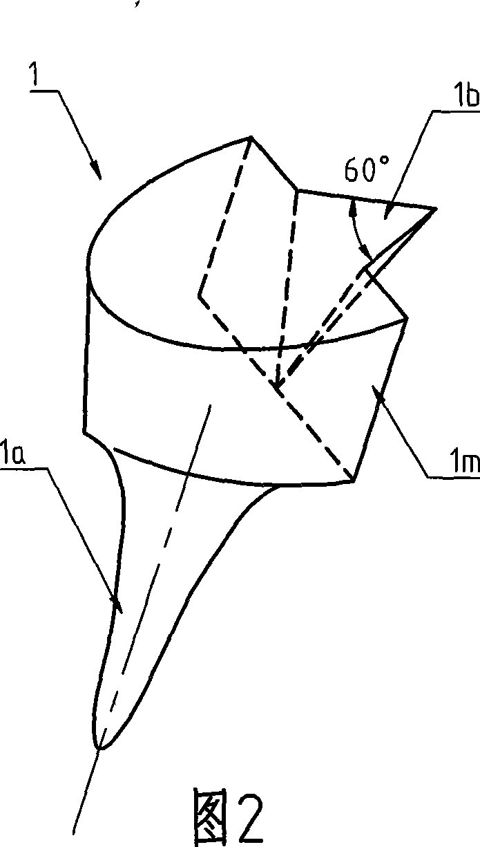 Molar fission molding pile-core and production method thereof