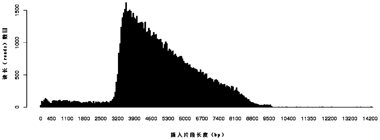 Low-initial-quantity DNA library construction method