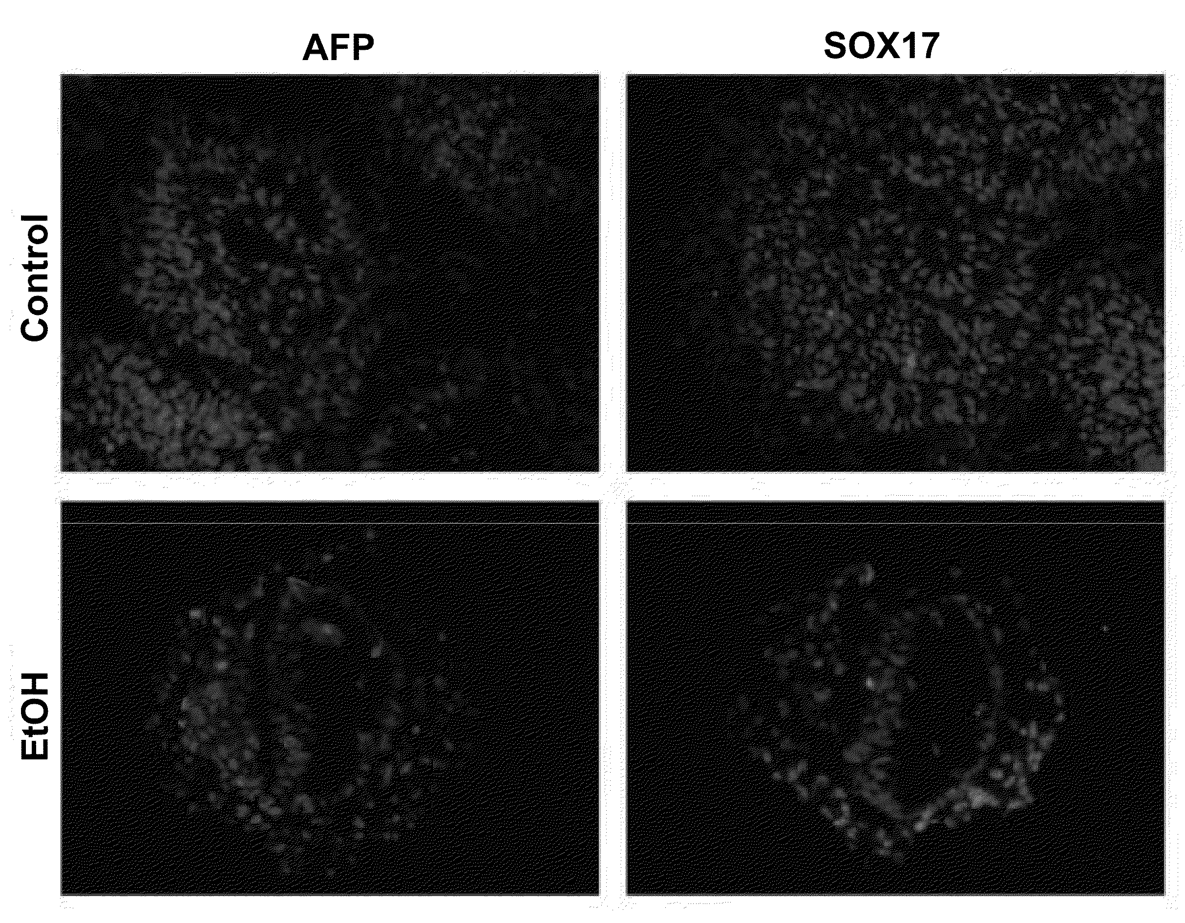 Methods and kits for ascertaining biosafety of an agent