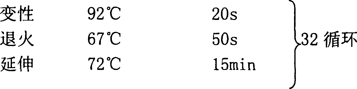 Optimized method for improving polymerase chain reaction (PCR) expanding effect by nano carbon powder