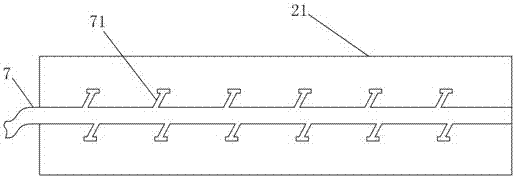 Leech incubation device and leech breeding method