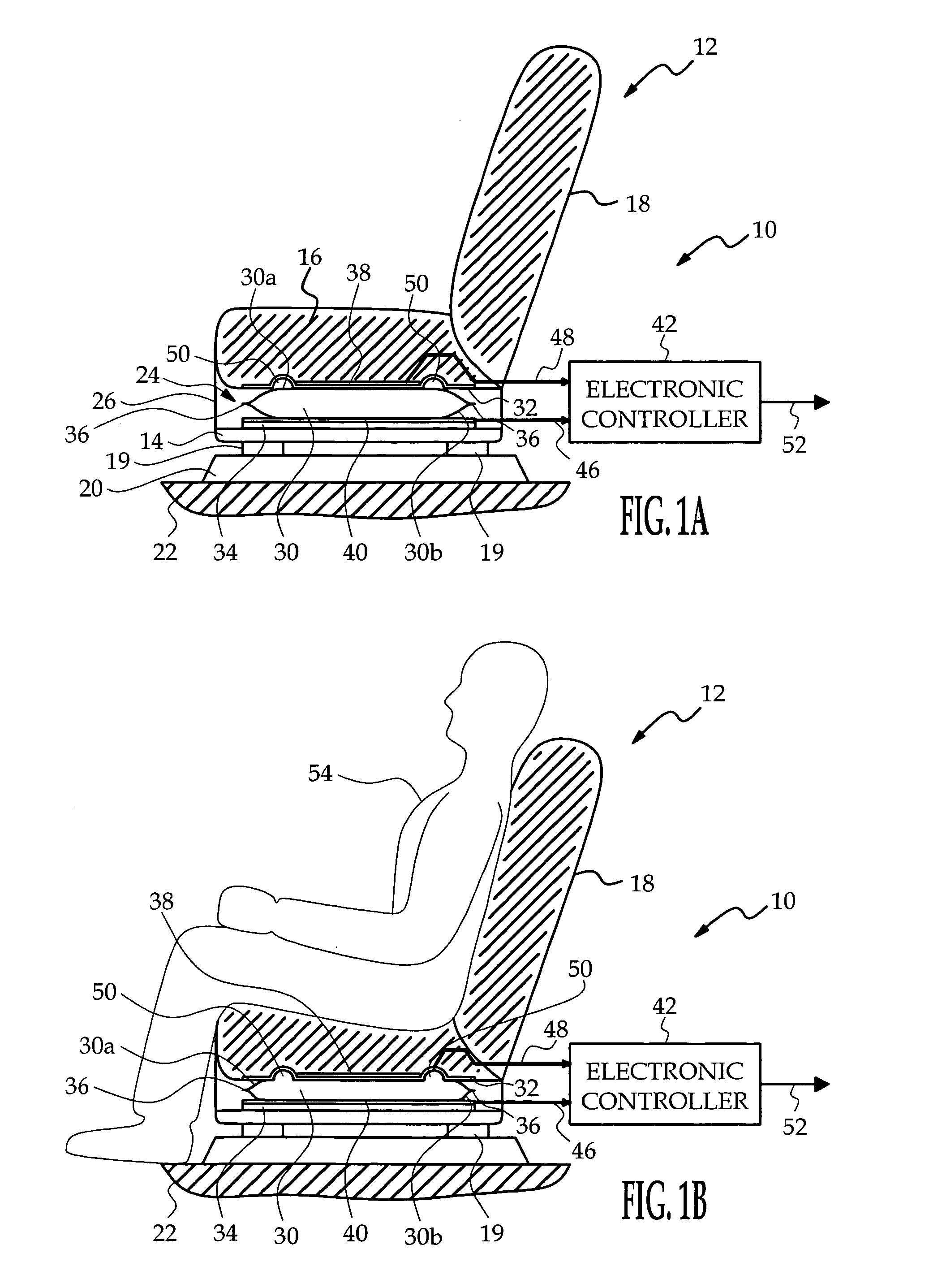 Capacitive occupant presence detection apparatus for a vehicle seat