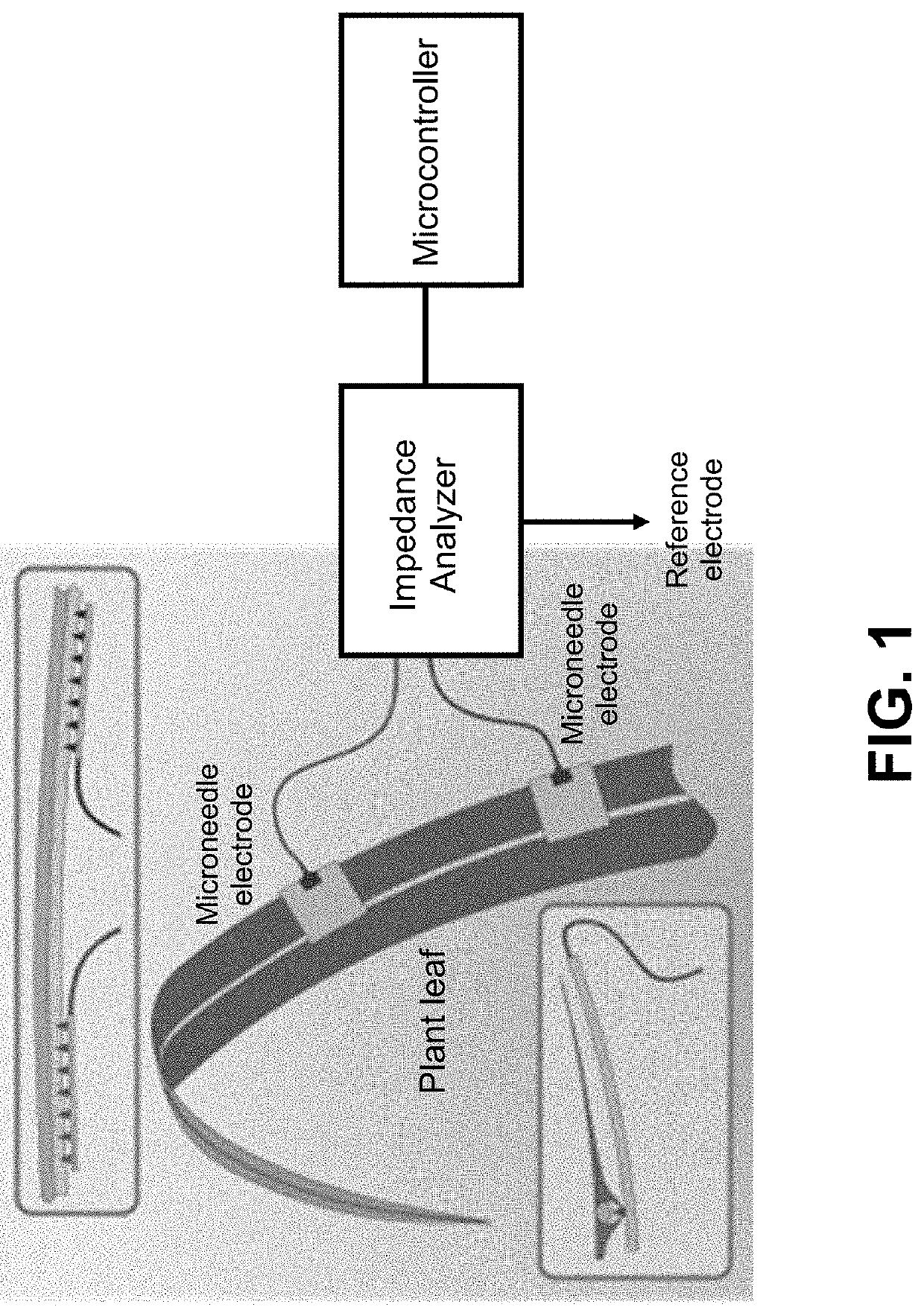 Microneedle-based electrical impedance sensor to monitor plant water status in real time