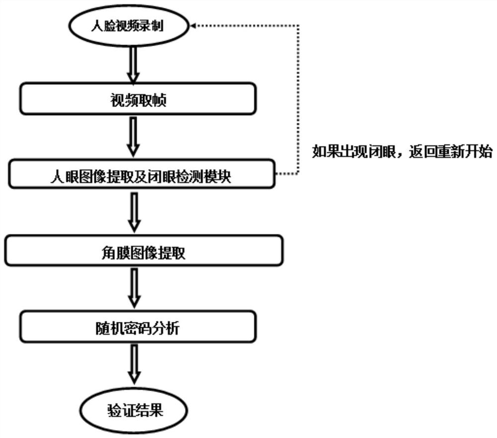 A face detection method and system based on corneal reflection and optical encoding