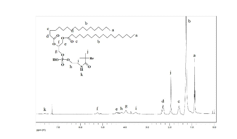 Anti-adsorption and long-circulation lipid molecule, preparation method and application thereof in fields of medicines and cosmetics