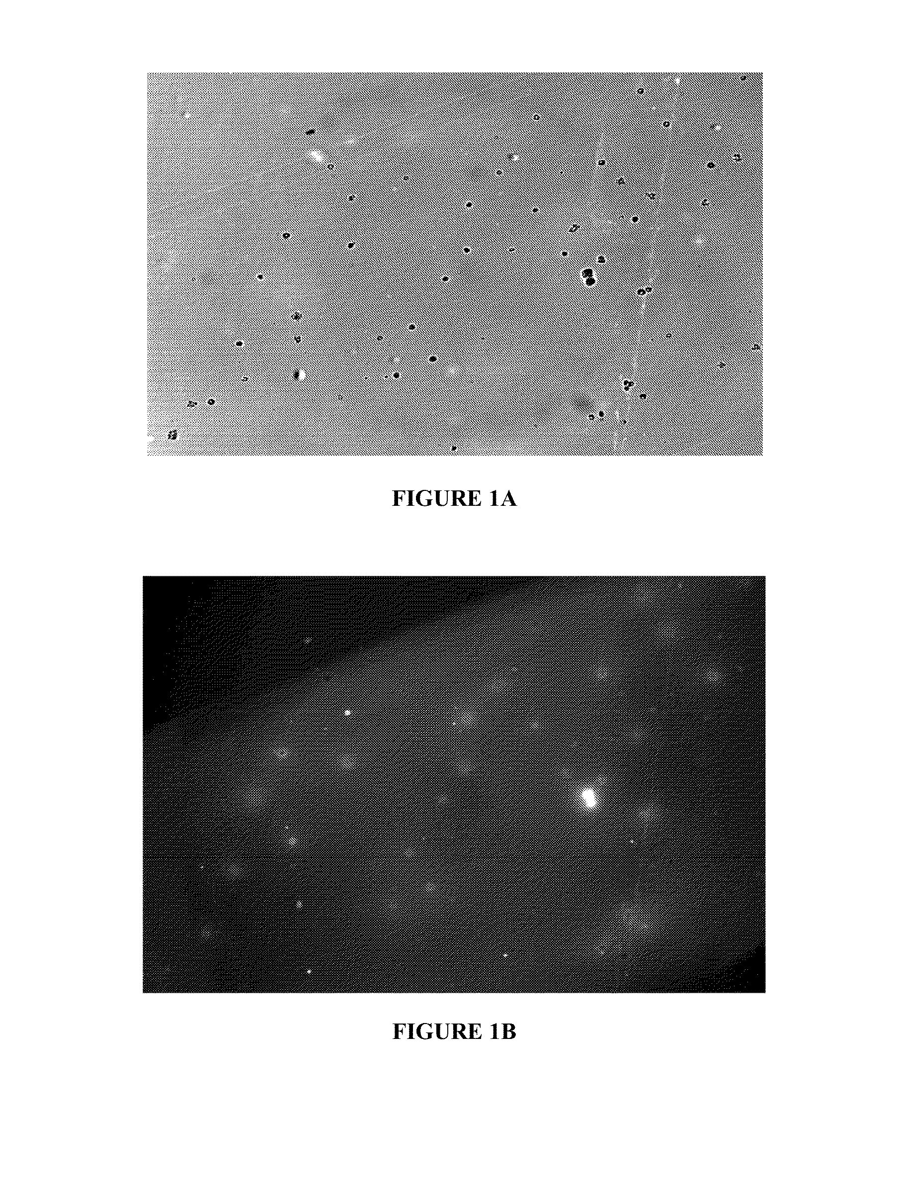 Peptides for the treatment of hearing