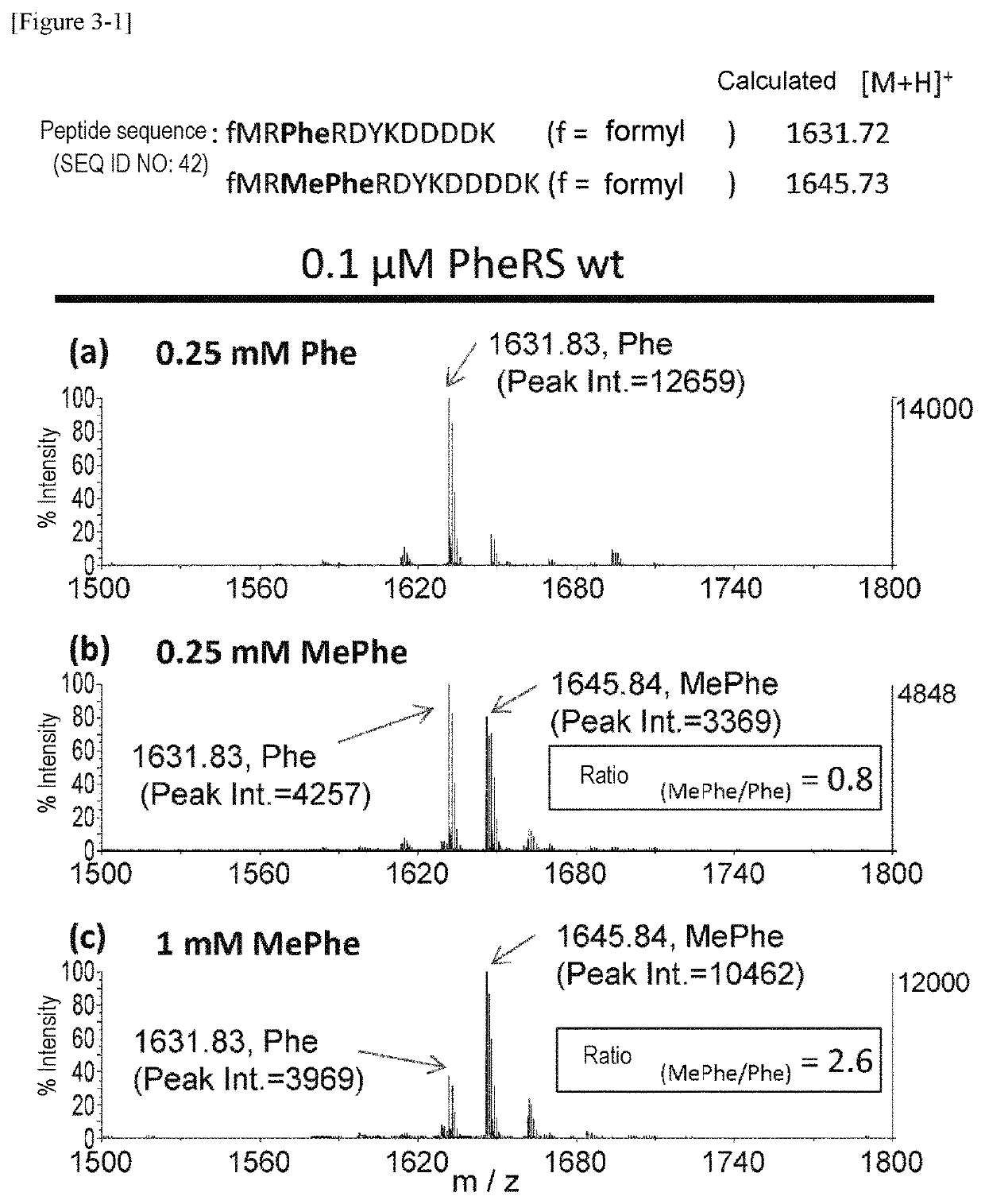 Modified aminoacyl-tRNA synthetase and use thereof