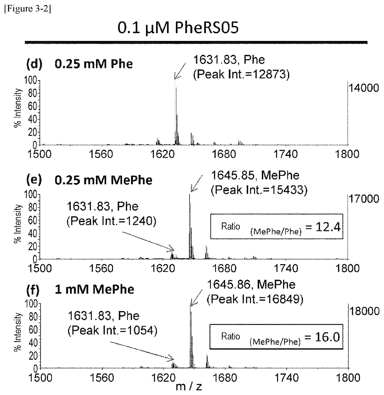 Modified aminoacyl-tRNA synthetase and use thereof