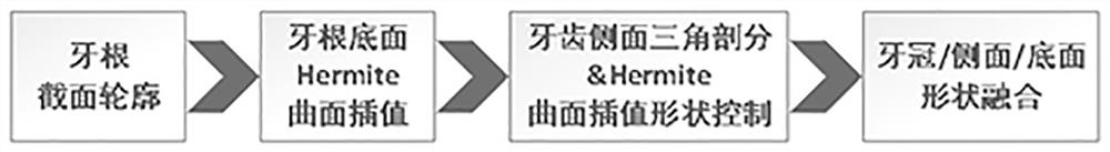 Tooth and gingiva modeling method suitable for digital orthodontic application