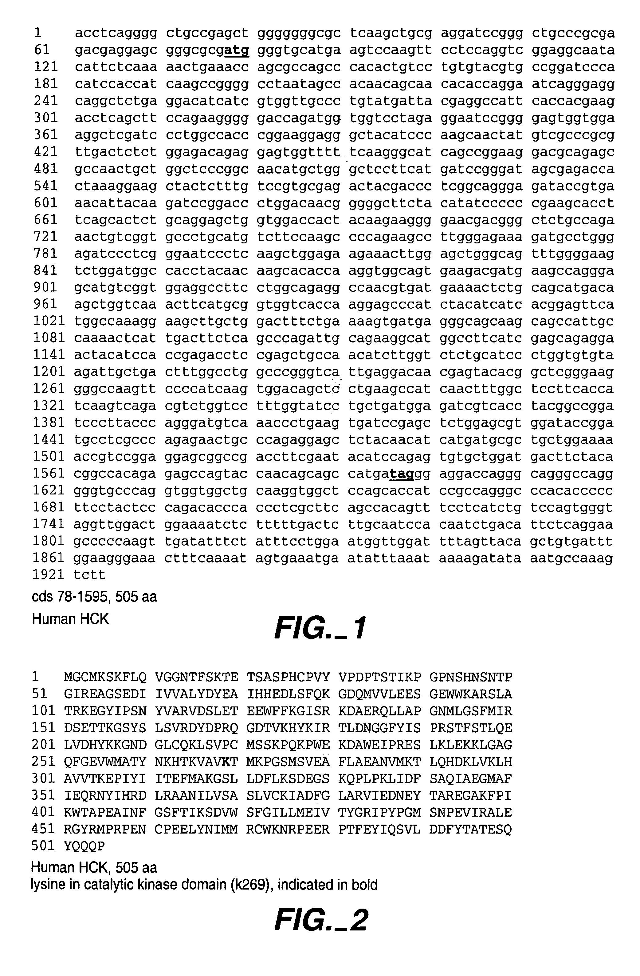 Modulators of leukocyte activation, Hck compositions and methods of use