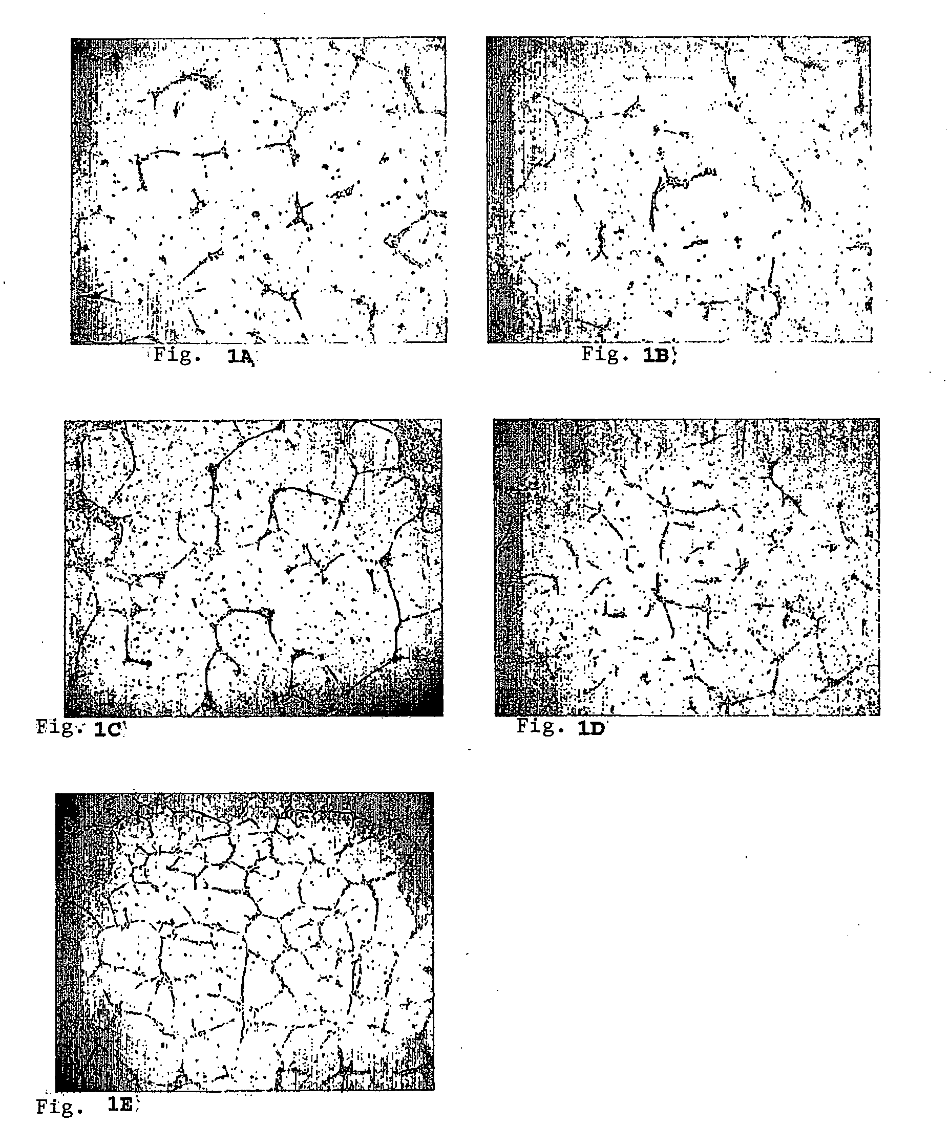 Regulator genes of angiogenesis, pharmaceutical preparations containing them and their applications