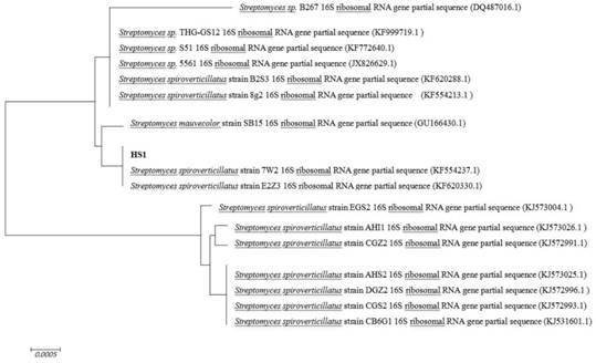 Application of streptomyces in biological control