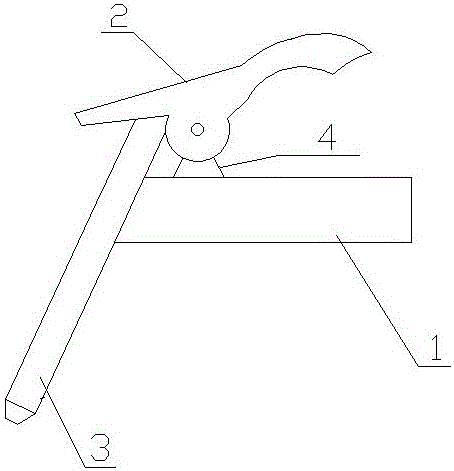 A method for planting honeysuckle in arid desert areas