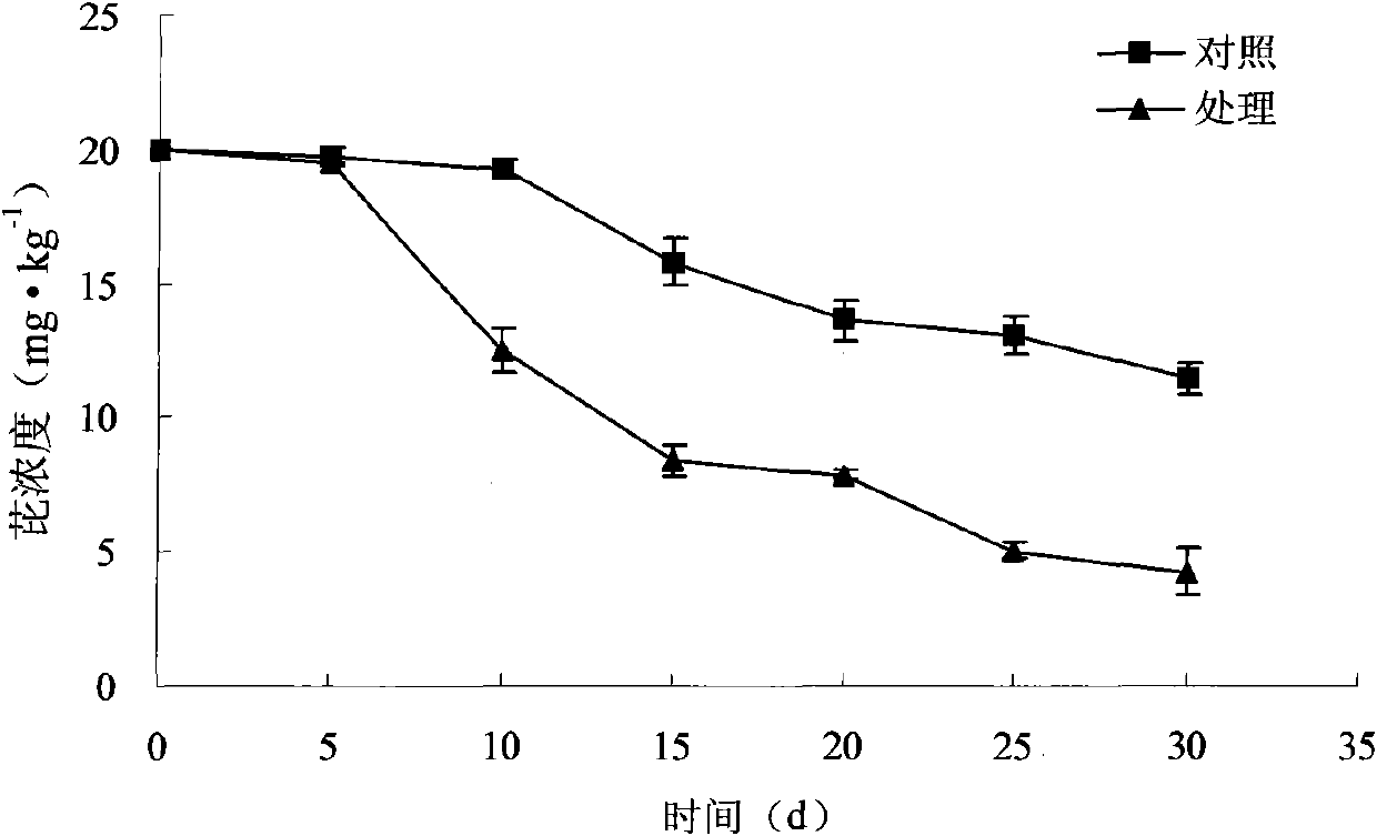 Bacterial strain for generating rhamnolipid biosurfactant and generated microbial inoculum thereof