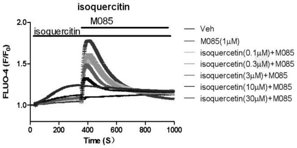 Application of isoquercitrin as inhibitor of calcium ion channel