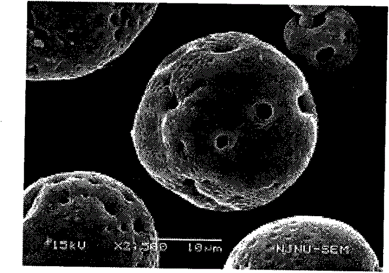 Pharmaceutical composition containing micronized human vascular endostatin