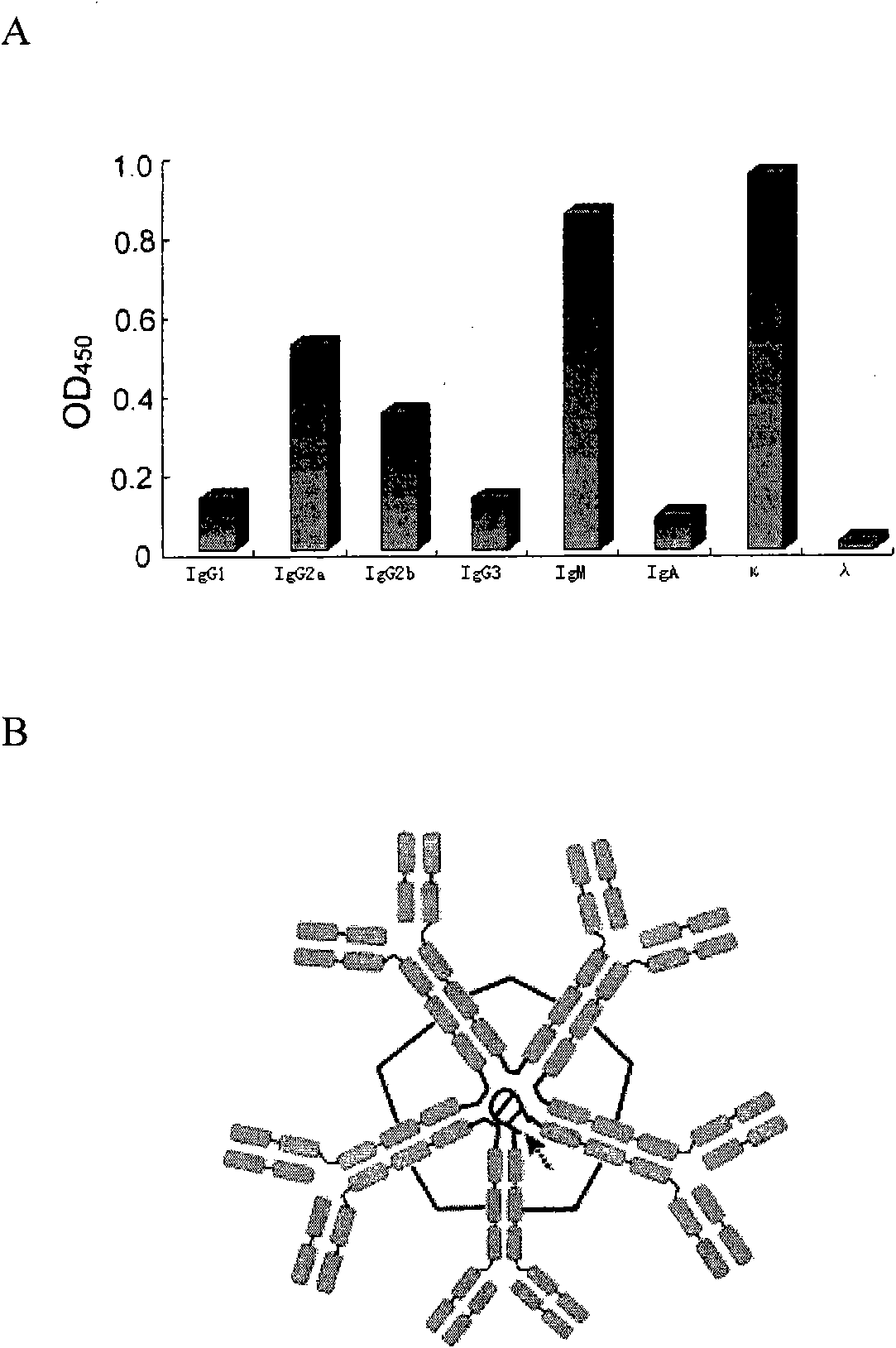 Antibody for inhibitting growth of colorectal carcinoma and its use in preparation of medicament and kit