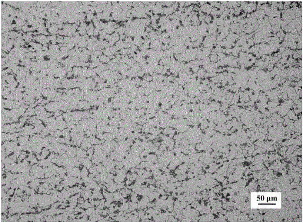 Grinding and polishing erosion reagent for pearlite, and rapid metallographic examination method for pearlitic steel