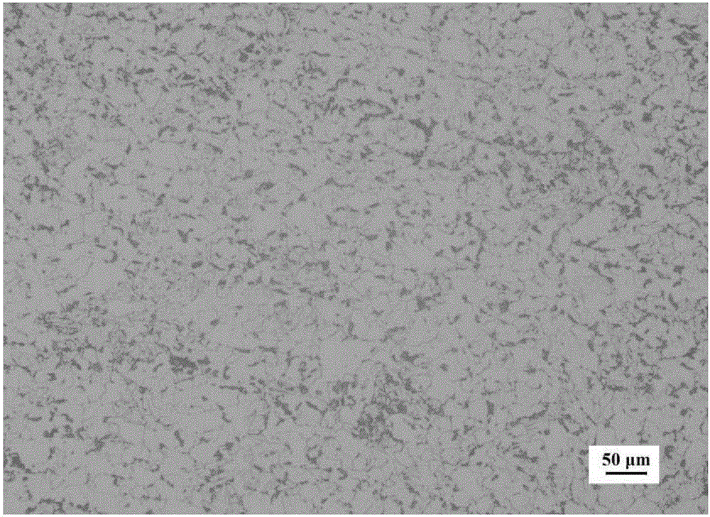 Grinding and polishing erosion reagent for pearlite, and rapid metallographic examination method for pearlitic steel