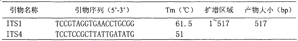 Gene chip for detecting common clinical pathogenic microorganism