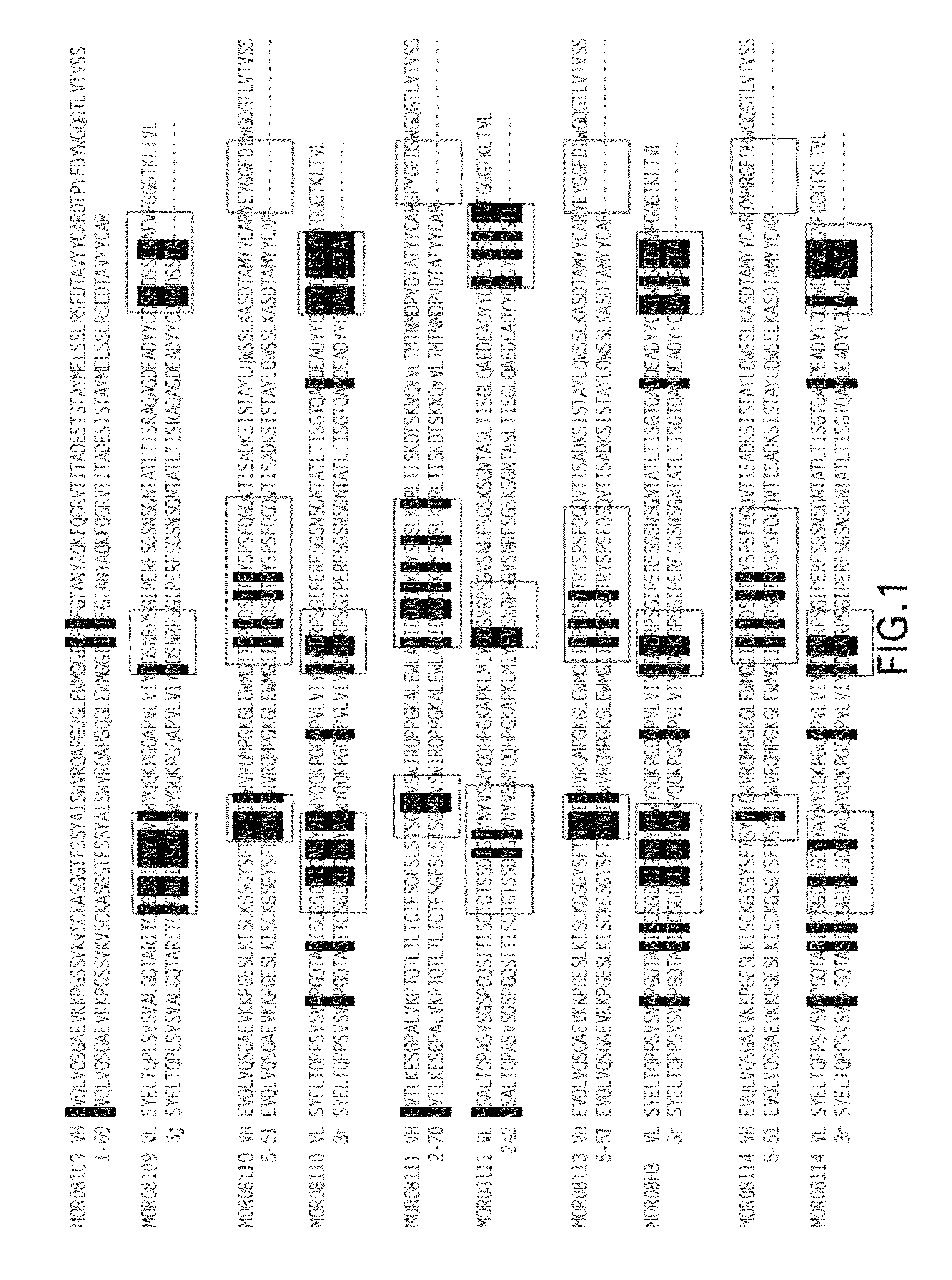 Compositions and methods for antibodies targeting complement protein C5