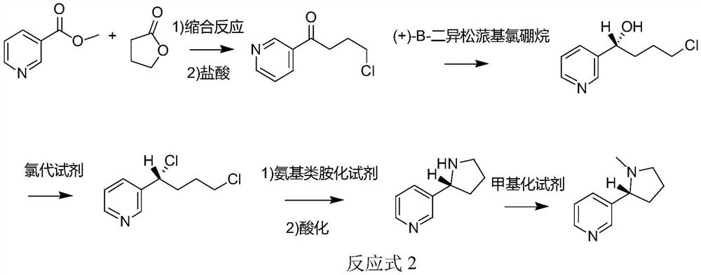 Method for synthesizing chiral nicotine from butyrolactone