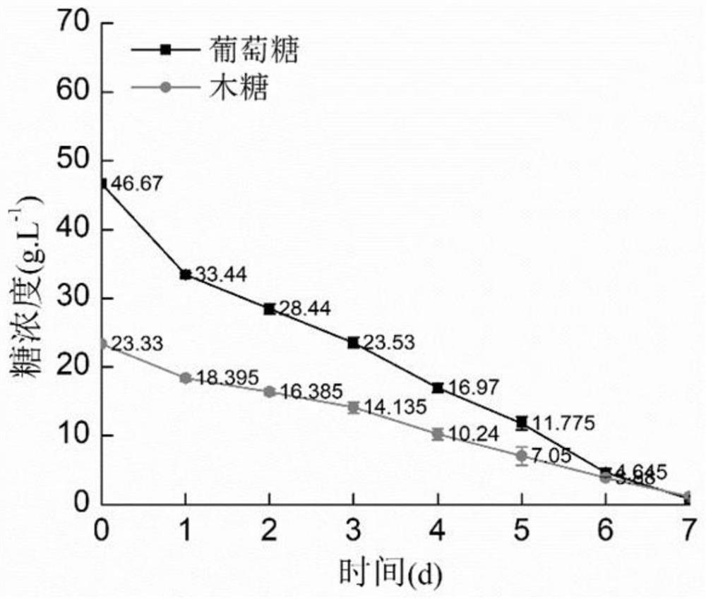 Oleaginous yeast and application thereof