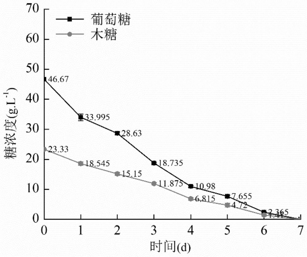 Oleaginous yeast and application thereof