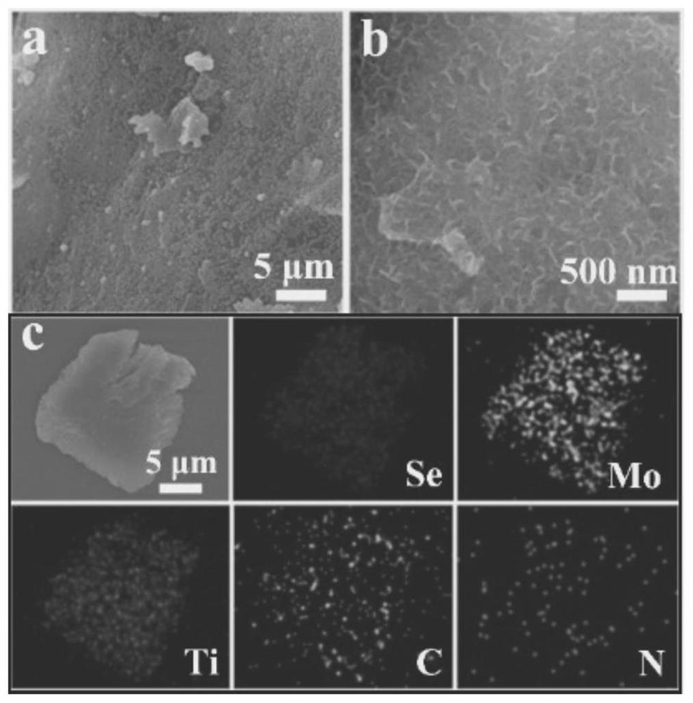 Two-dimensional titanium carbide supported stable biphase molybdenum diselenide composite material and preparation method and application thereof