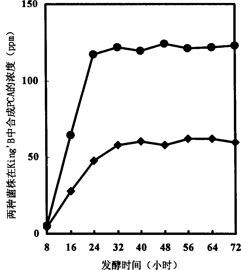 Method for inserting gene of pseudomonas fluorescens M18 into mutation strain H18G