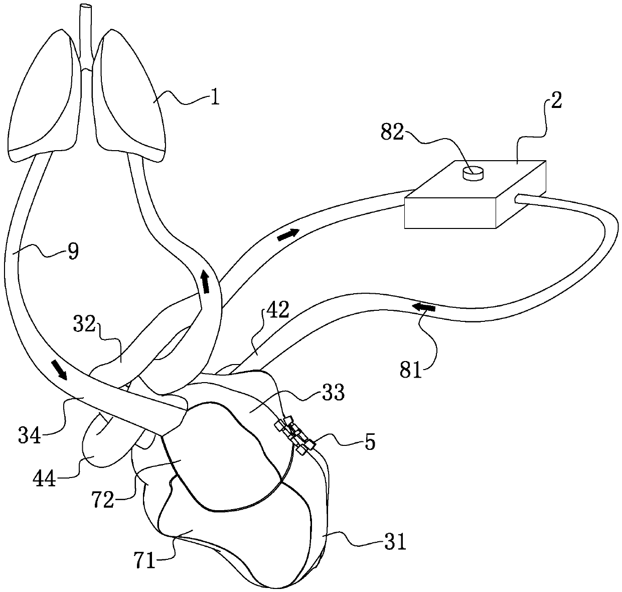 Detachable heart model for teaching show