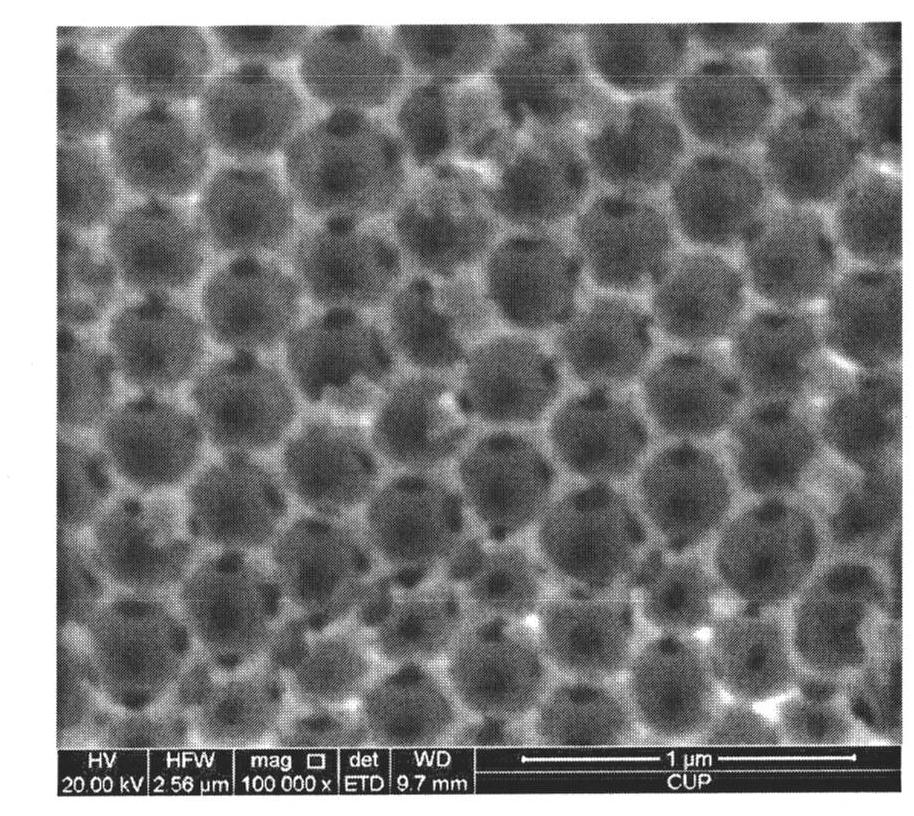 Three-dimensionally ordered macroporous gold-loaded catalyst with composite oxide as carrier and for catalytic combustion