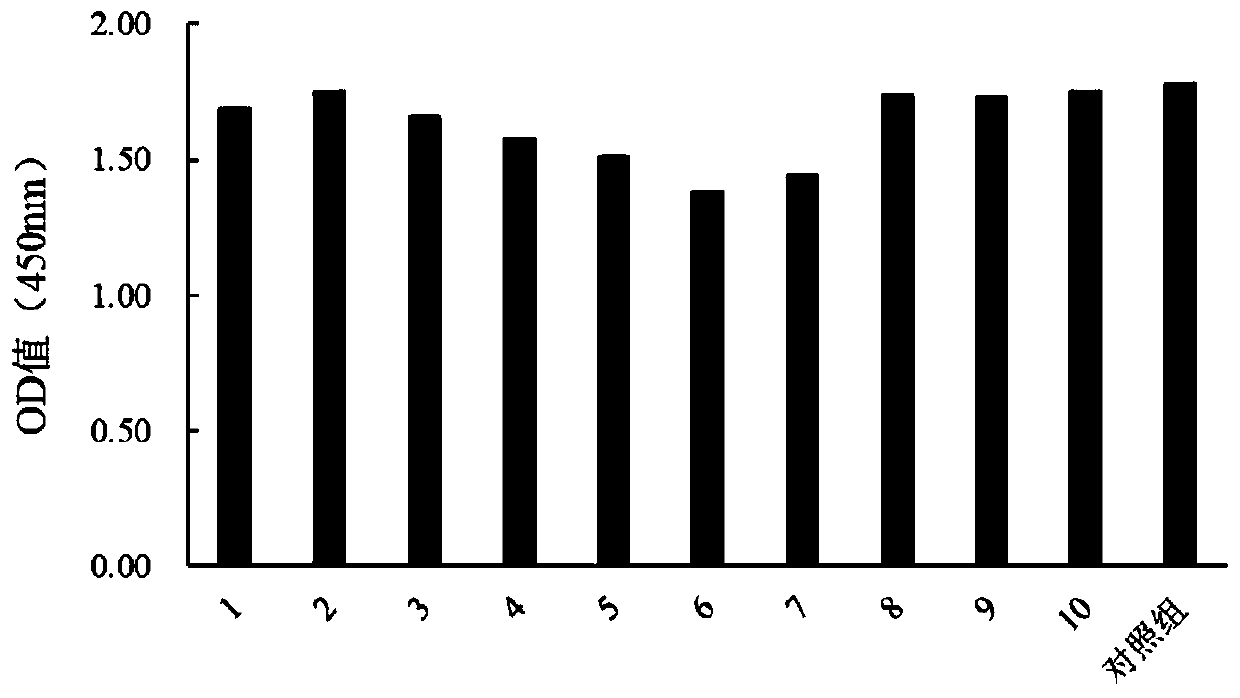 Cationic transfection agent and preparation and application methods thereof