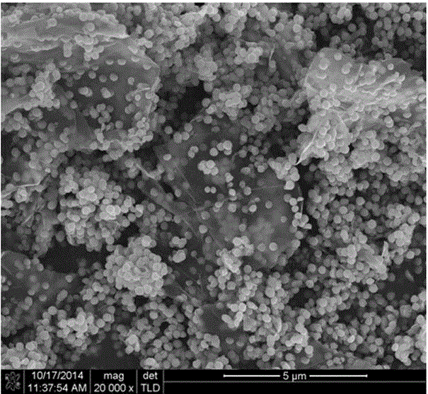 Modified-chitosan and graphite oxide magnetic nano absorbent and preparation and application thereof