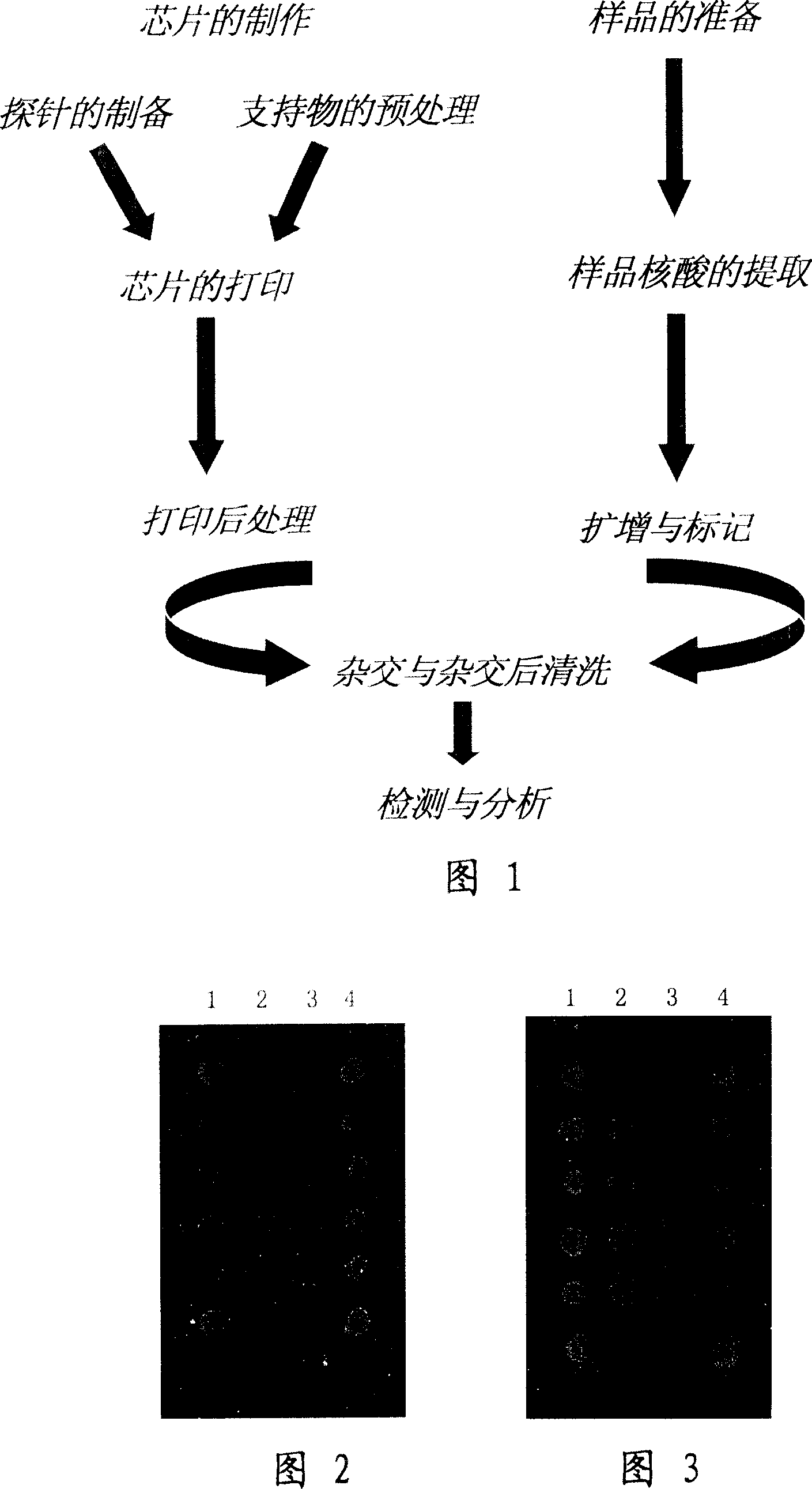 Transgene agricultural product DNA detection chip, its preparation method and application