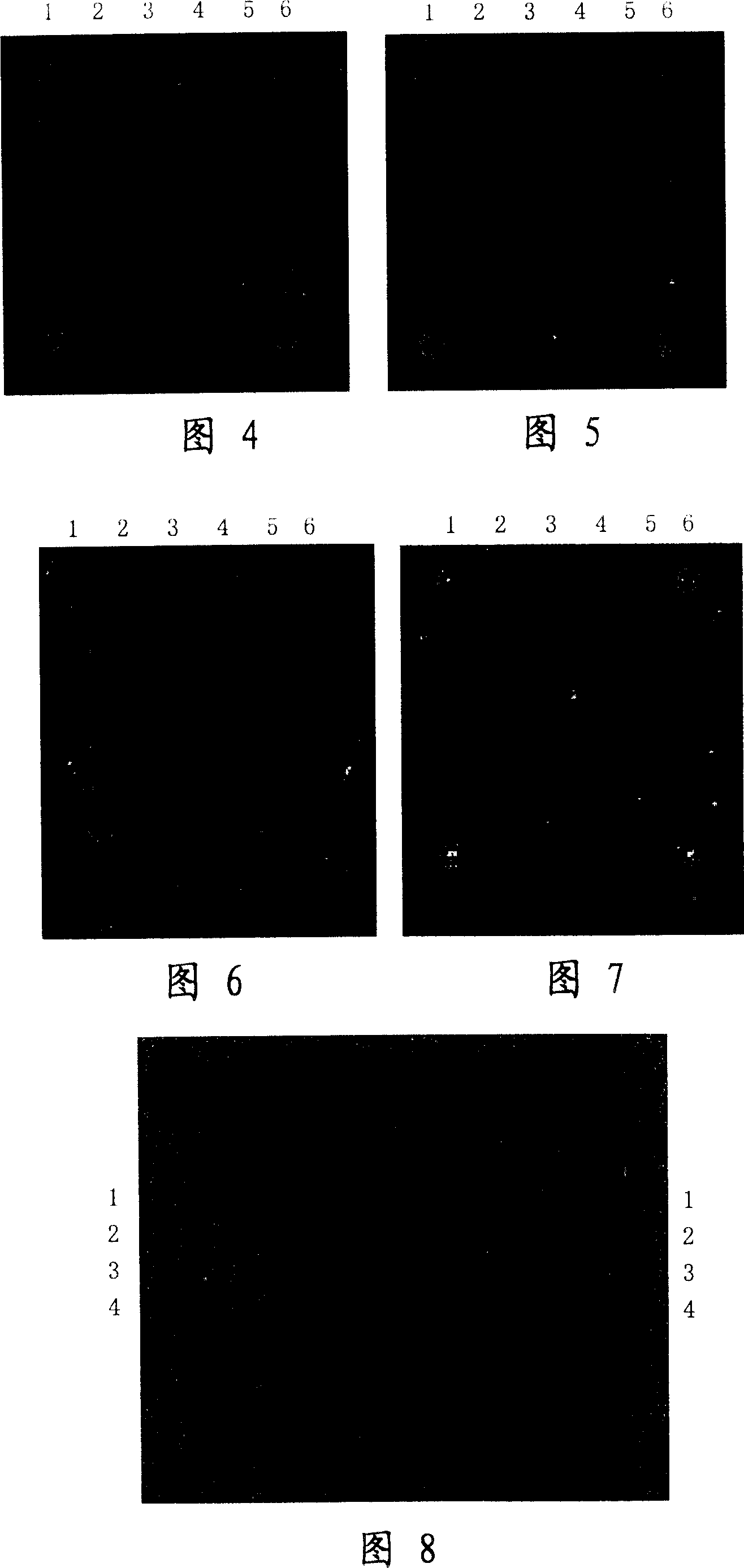 Transgene agricultural product DNA detection chip, its preparation method and application