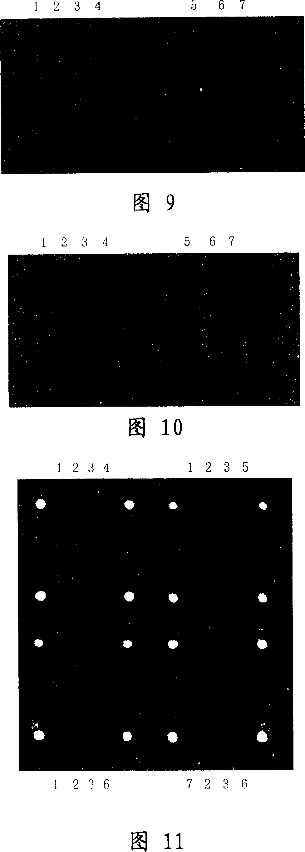 Transgene agricultural product DNA detection chip, its preparation method and application