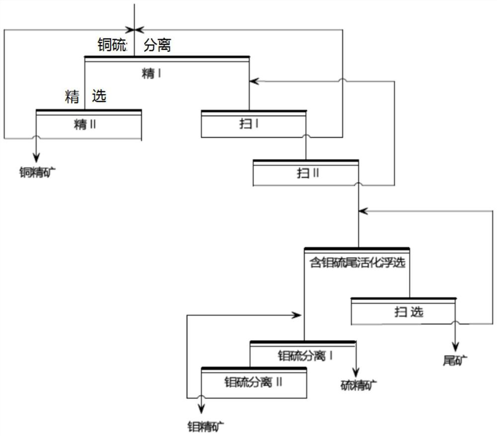 A kind of copper ore associated molybdenum sorting method