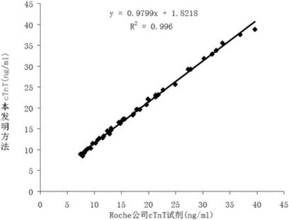 Homogeneous fluorescence immunoassay reagent for rapid and quantitative detection of troponin T and preparation and detection methods thereof