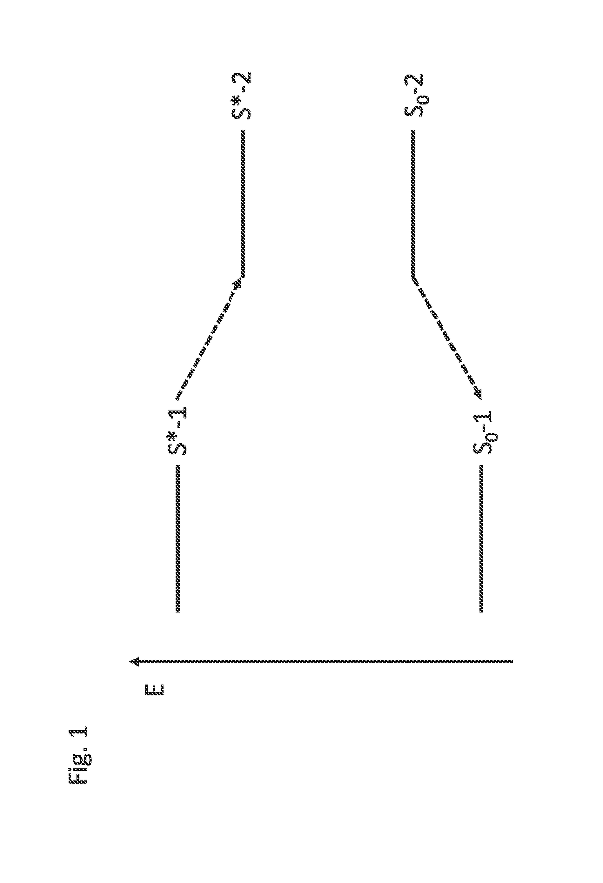 Optoelectronic device, use of a dual emitter as wavelength conversion material